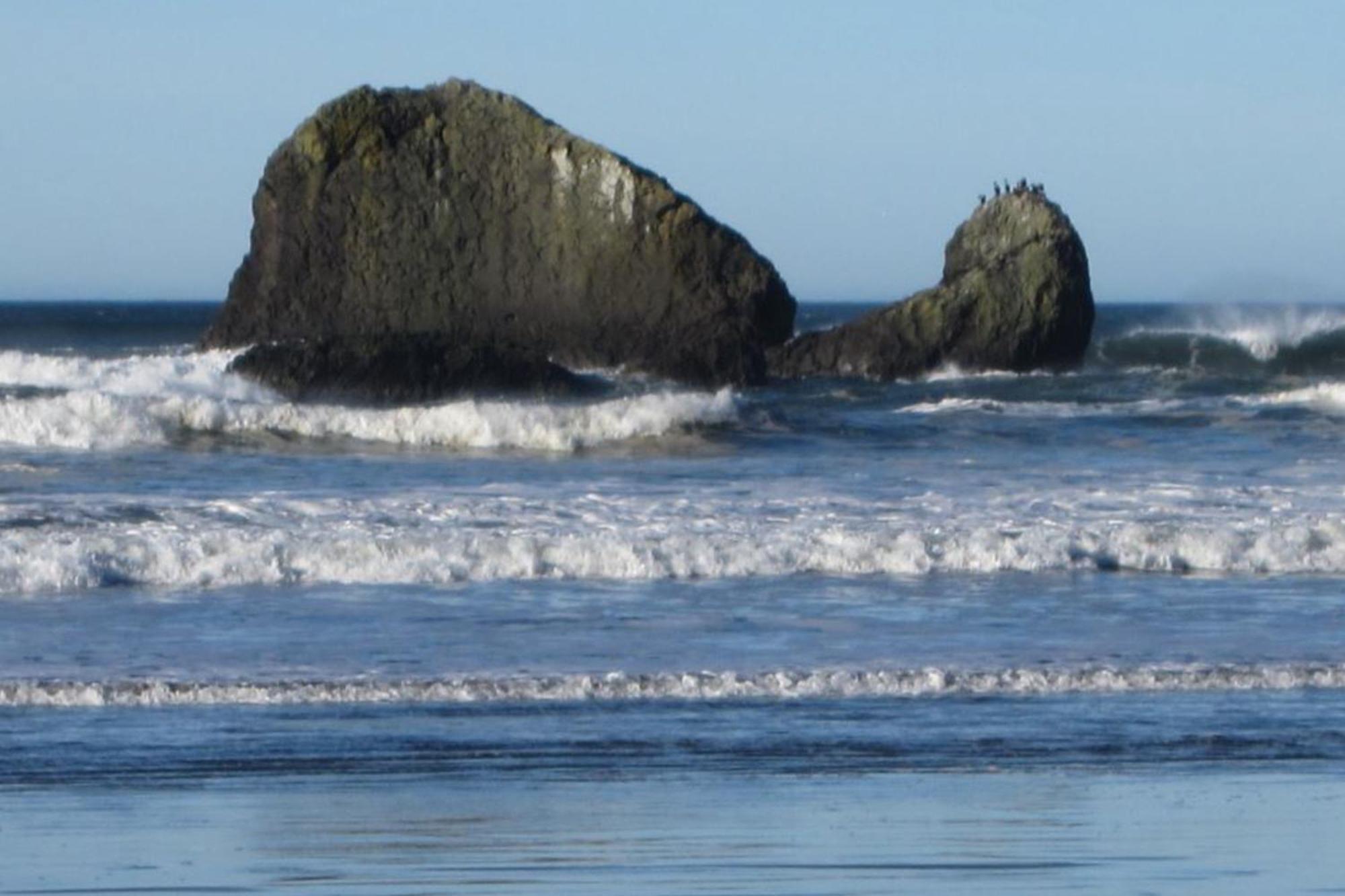 Rocks Cabin Copalis Beach Exteriér fotografie