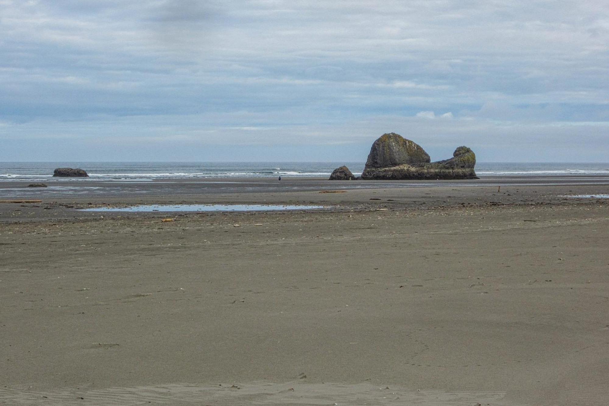 Rocks Cabin Copalis Beach Exteriér fotografie